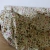 IMG_1613.webp