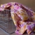 Lekka Wiskoza Lily Rose