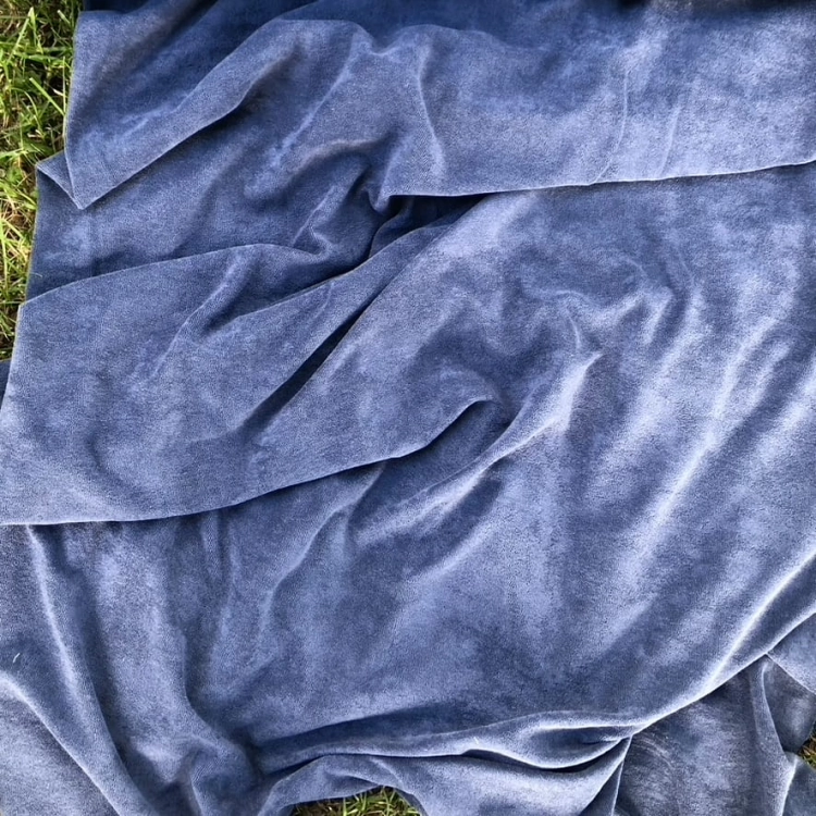 frotte niebieska
