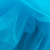 Delphinium.jpg