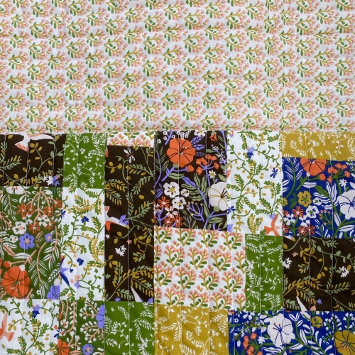 Pikówka bawełniana