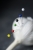 RFX0022.jpeg