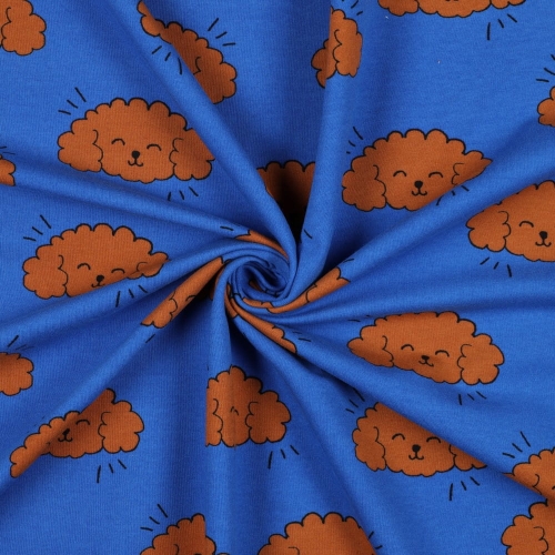 danina dreswowa w pieski